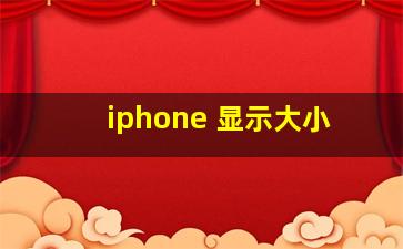 iphone 显示大小